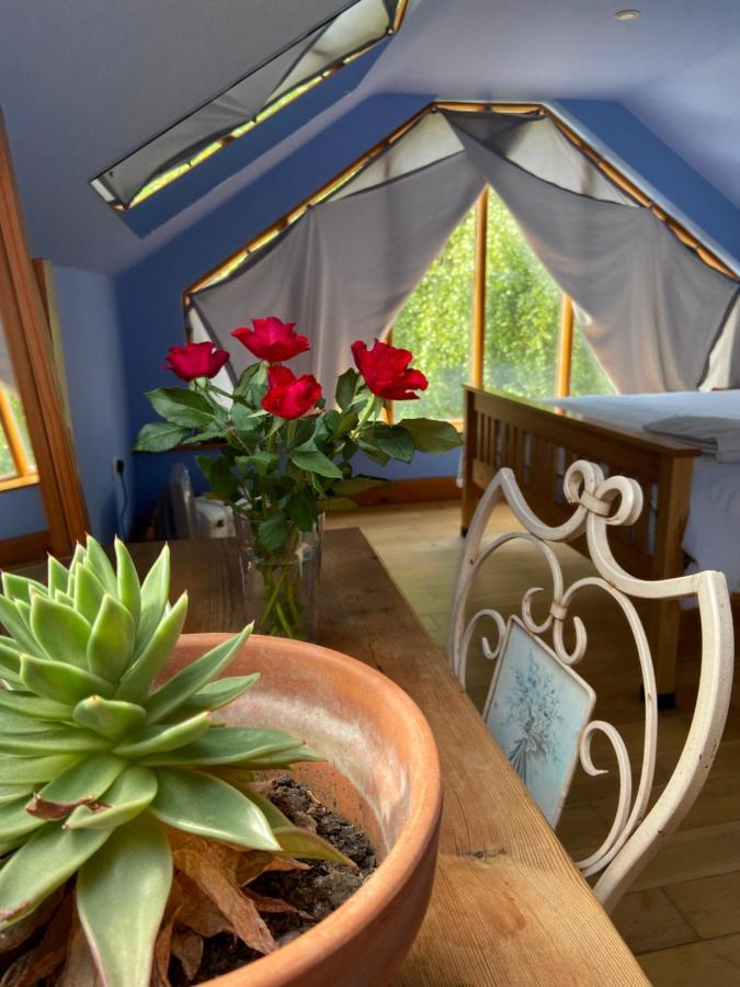 Ralph'S Barn Villa Newport  Luaran gambar