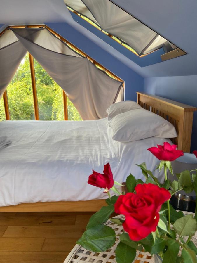 Ralph'S Barn Villa Newport  Luaran gambar